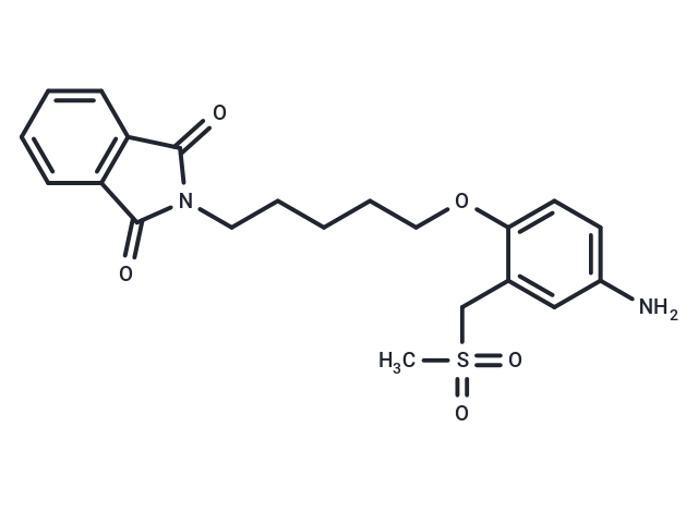 Phthalimide, N-(5-(4-amino-alpha-(methylsulfonyl)-o-tolyloxy)pentyl)- Chemical Structure