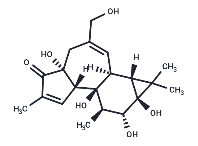 Phorbol Chemical Structure