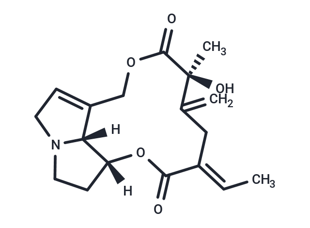 Spartioidine Chemical Structure