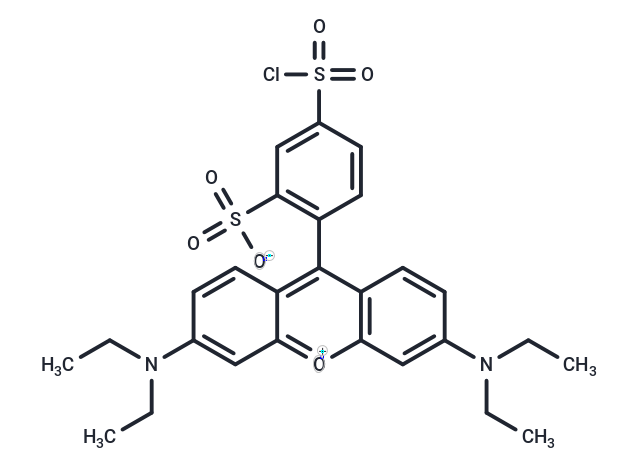 Lissamine rhodamine B sulfonyl chloride Chemical Structure