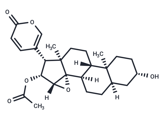 Cinobufagin Chemical Structure