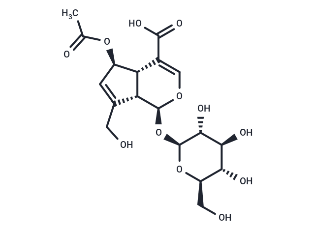 6-O-Acetylscandoside Chemical Structure
