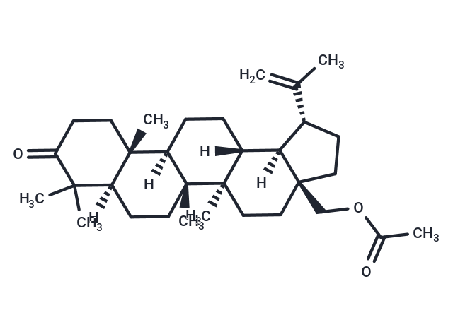 3-Oxobetulin Acetate Chemical Structure