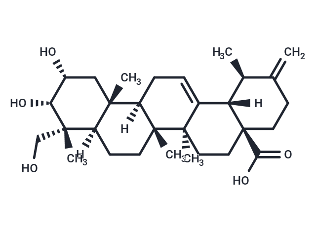 2a,3a,23-Trihydroxyurs-12,20(30)-dien-28-oic acid Chemical Structure