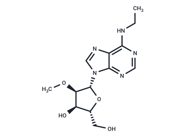 N6-Ethyl-2’-O-methyladenosine Chemical Structure