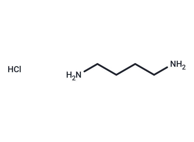 1,4-Diaminobutane Dihydrochloride Chemical Structure