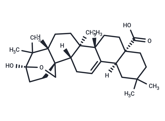 Lantanolic acid Chemical Structure