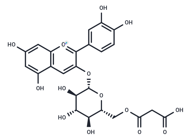 Cyanidin-3-O-(6''-malonylglucoside) chloride Chemical Structure