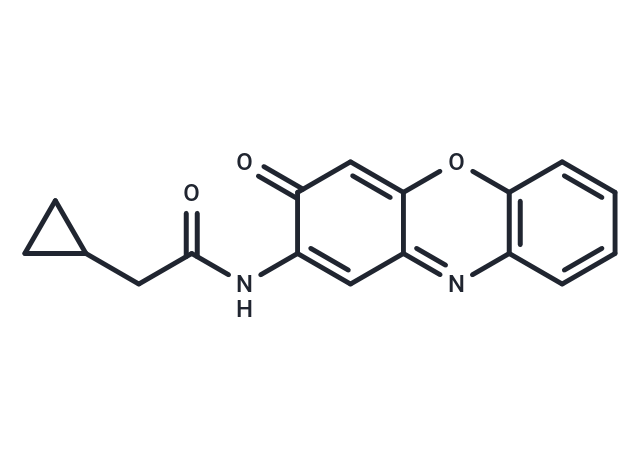 Questiomycin A derivatives 13 Chemical Structure