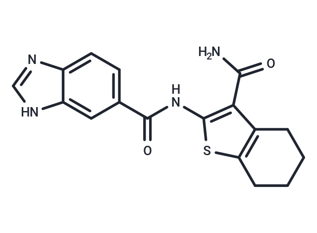1H-Benzimidazole-6-carboxamide, N-[3-(aminocarbonyl)-4,5,6,7-tetrahydrobenzo[b]thien-2-yl]- Chemical Structure