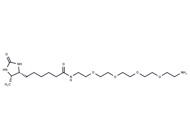 Amine-PEG4-Desthiobiotin Chemical Structure