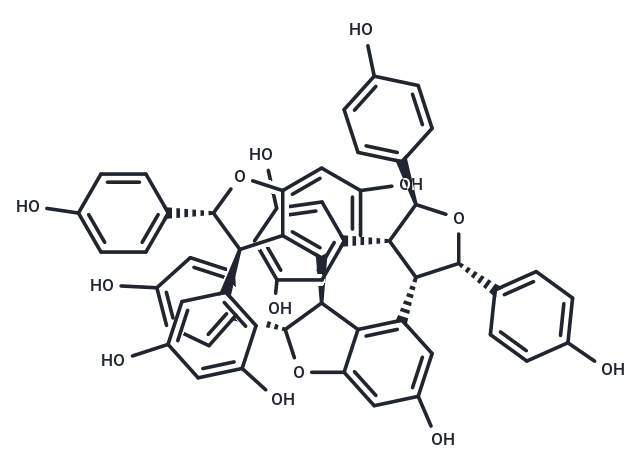TargetMol Chemical Structure Kobophenol A