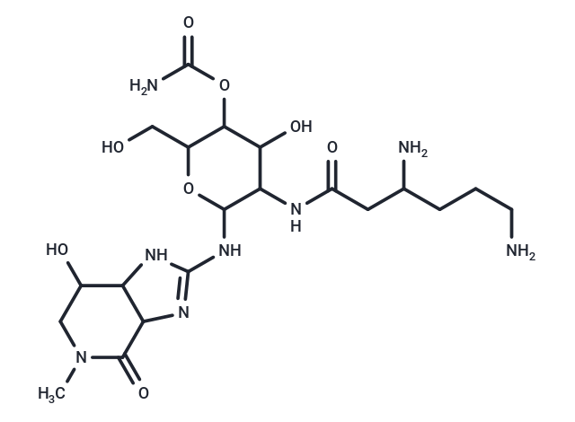 N-Methylstreptothricin F Chemical Structure