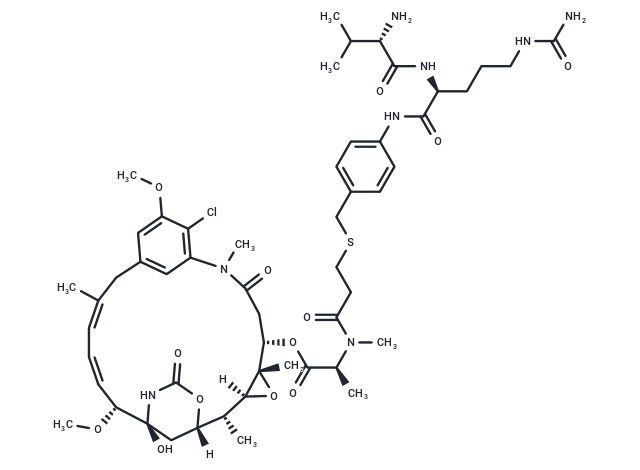 vc-PABC-DM1 Chemical Structure