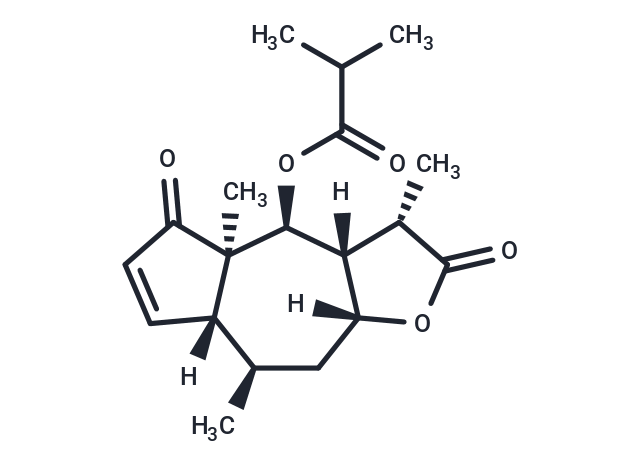 TargetMol Chemical Structure ArnicolideC