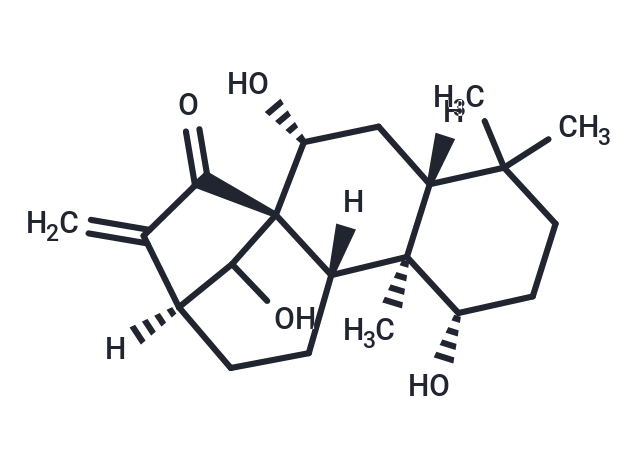 TargetMol Chemical Structure Kamebanin