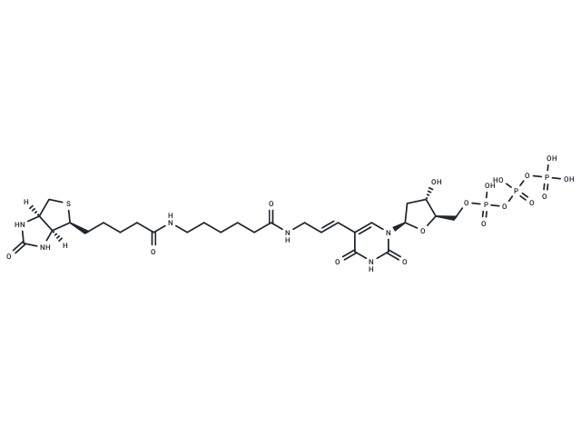 Biotin-11-dUTP Chemical Structure
