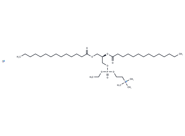 14:0 EPC chloride Chemical Structure