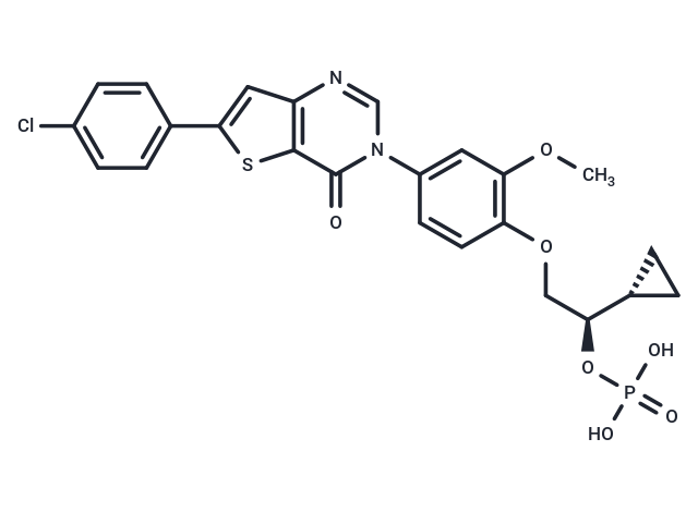 BMS-830216 Chemical Structure