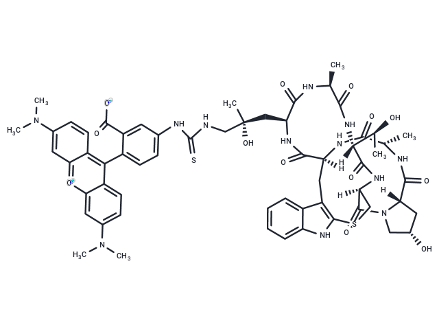Phalloidin-TRITC Chemical Structure
