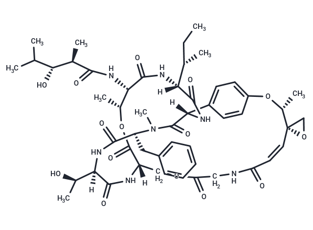 Salinamide A Chemical Structure