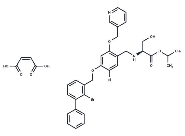 IMMH 010 maleate Chemical Structure