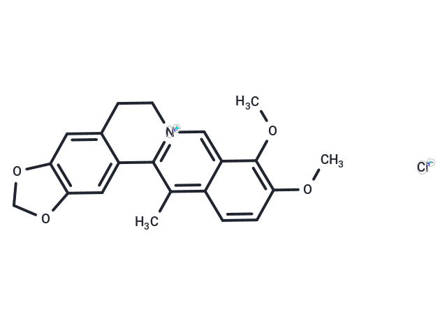 TargetMol Chemical Structure 13-Methylberberine chloride
