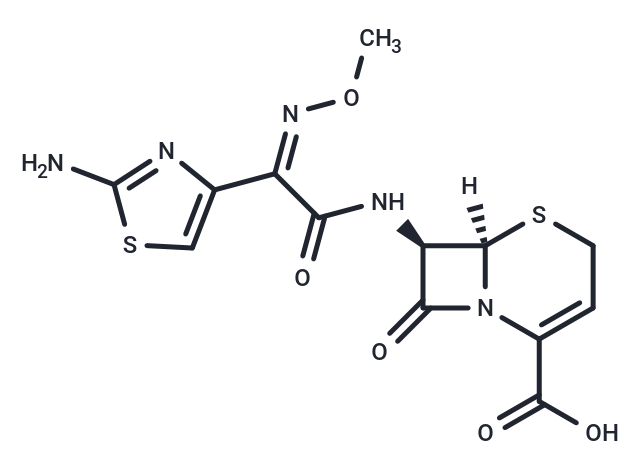 Ceftizoxime Chemical Structure