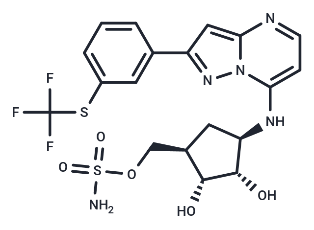 TAK-243 Chemical Structure
