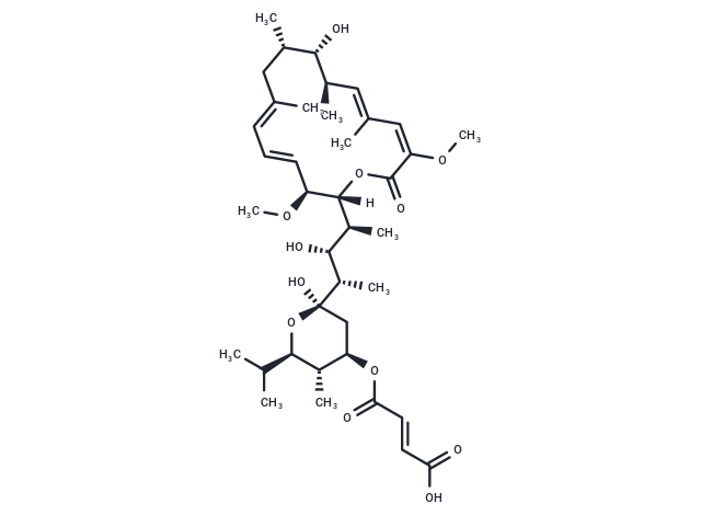 Bafilomycin C1 Chemical Structure