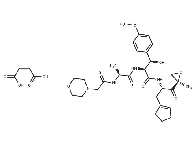 Zetomipzomib maleate Chemical Structure