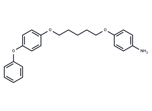 Aniline, p-(5-(p-phenoxyphenoxy)pentyloxy)- Chemical Structure