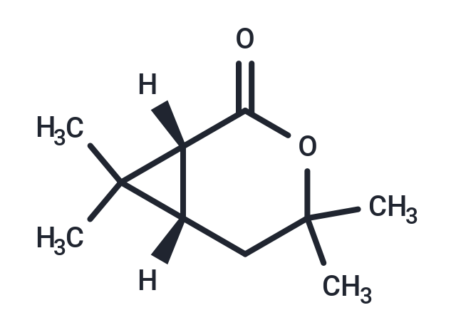 (1R)-Chrysanthemolactone Chemical Structure