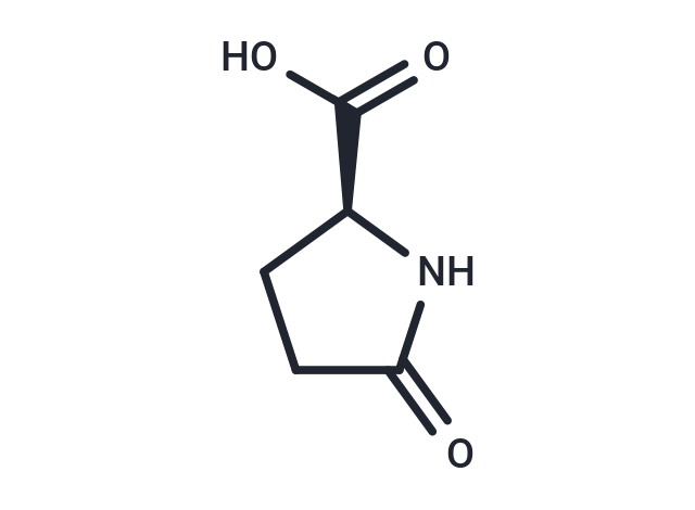 Pyroglutamic Tms L-Pyroglutamic acid | Endogenous Metabolite | TargetMol