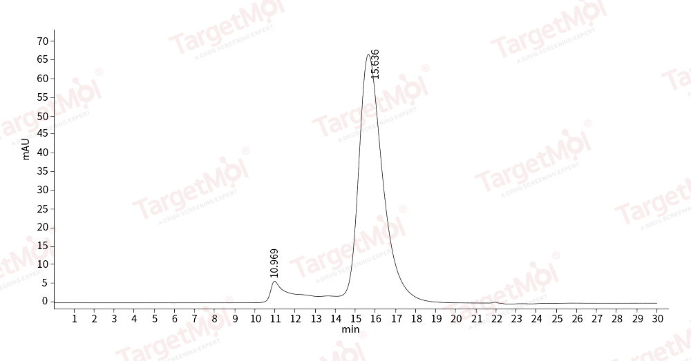 TNFR2/CD120b/TNFR1B Protein, Human, Recombinant (His)