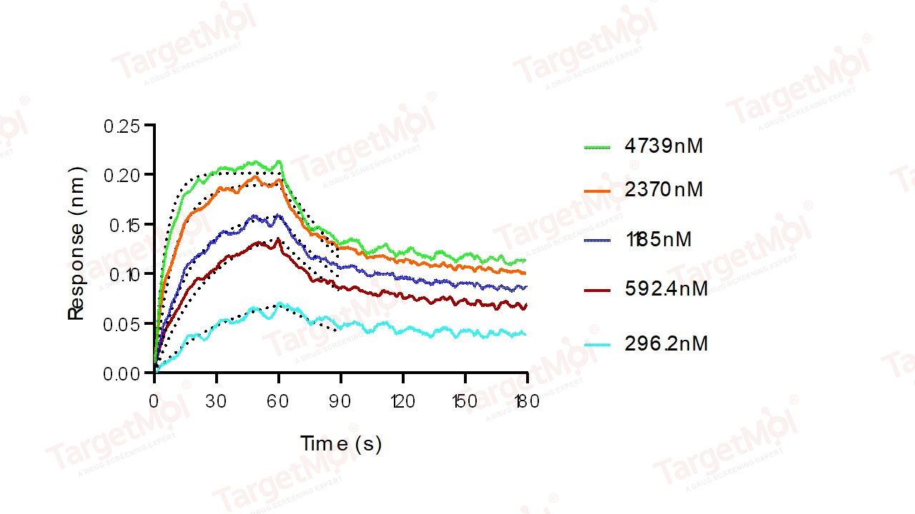CD86 Protein, Human, Recombinant (His)