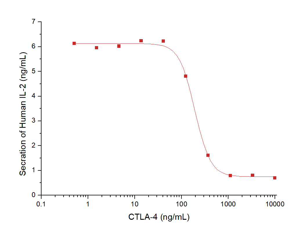 CTLA-4 Protein, Human, Recombinant (His)