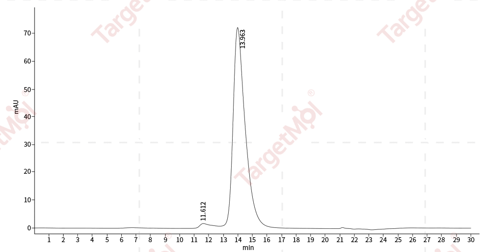 Cadherin 17/CDH17 Protein, Human, Recombinant (His)