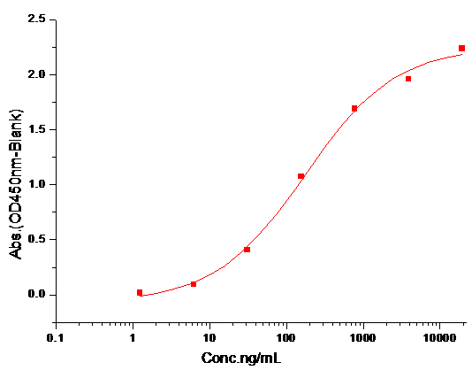 ErbB4 Protein, Human, Rhesus, Recombinant (His)