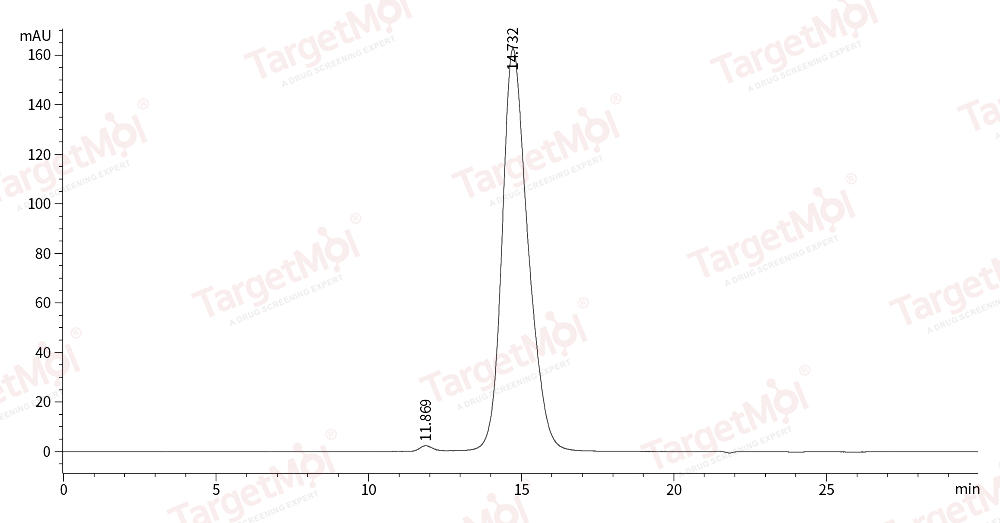 ACVR2A Protein, Human, Recombinant (His)