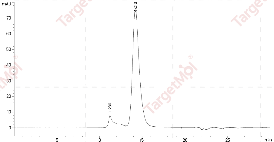 PD-L1 Protein, Mouse, Recombinant (His)