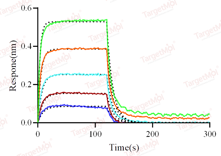 CD64 Protein, Mouse, Recombinant (His)