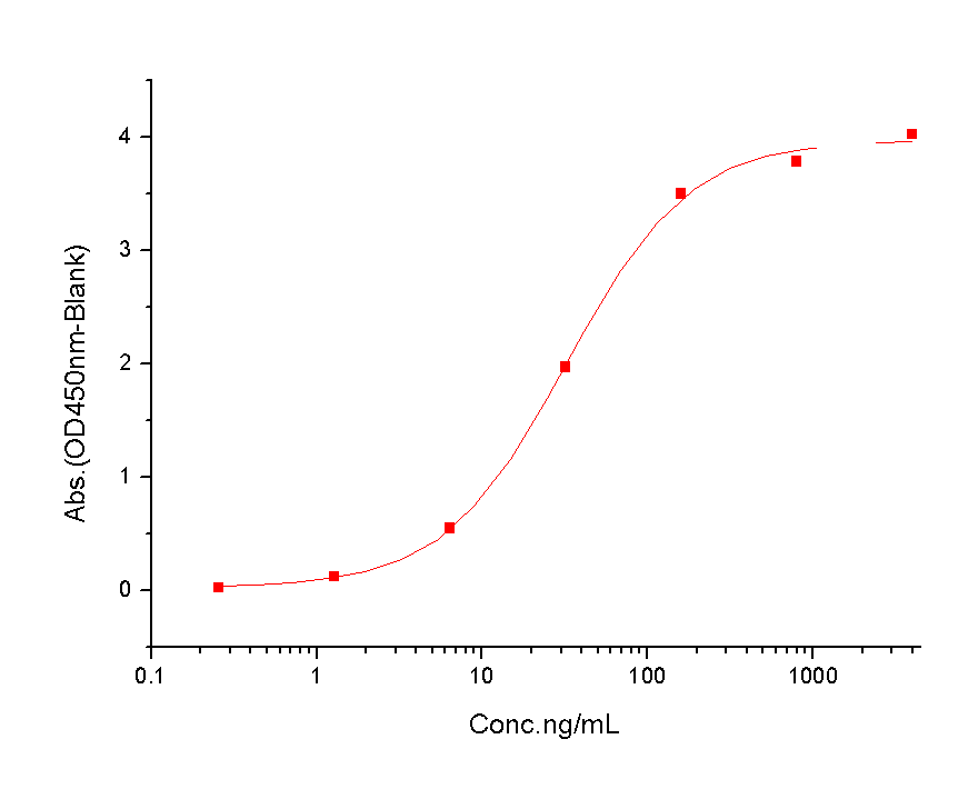 ACVR2B Protein, Human, Recombinant (hFc)