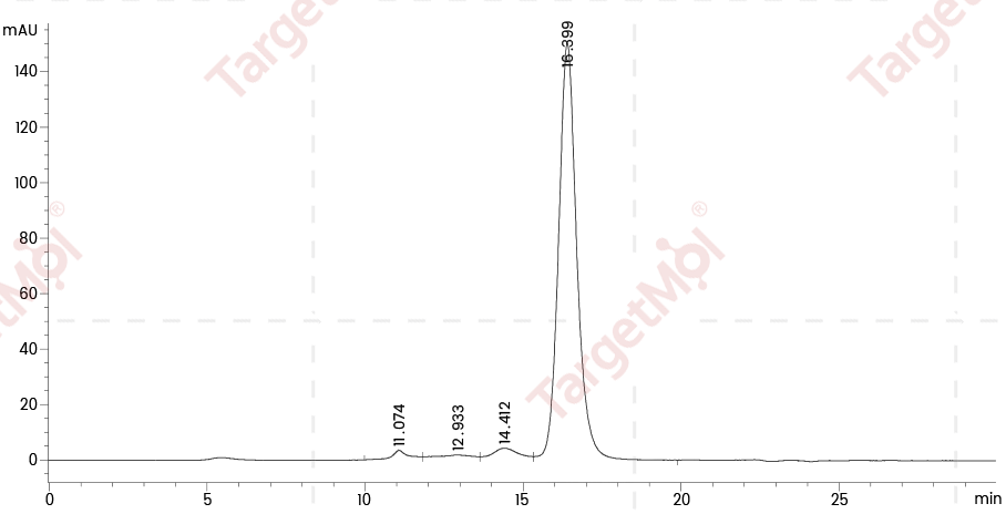 IL-18R beta/IL-18RAP Protein, Human, Recombinant (His)