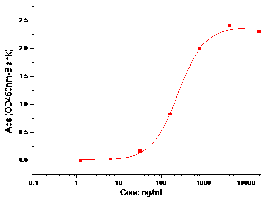 GSK3B Protein, Human, Recombinant (His)