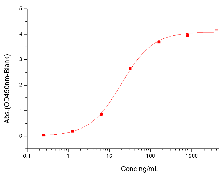 HER2/ERBB2 Protein, Canine, Recombinant (His)