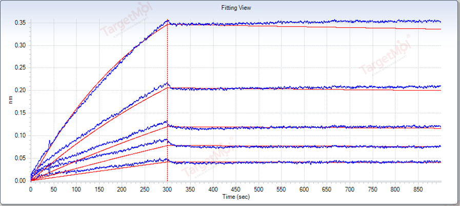 VEGFR2/KDR Protein, Human, Recombinant (His)