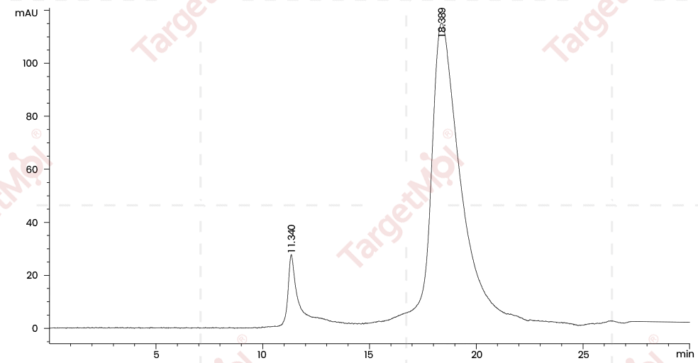 CD122/IL2RB Protein, Human, Recombinant (His)