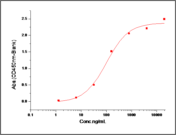 HER3/ERBB3 Protein, Human, Recombinant (His)