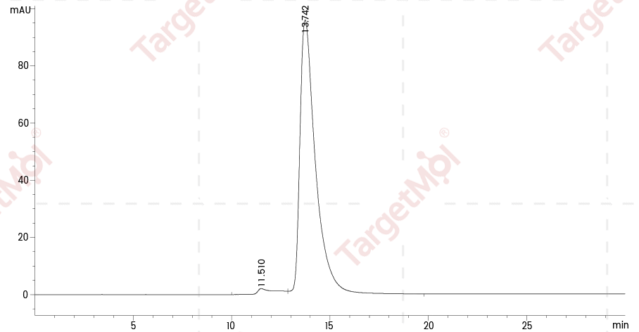 Siglec-3/CD33 Protein, Human, Recombinant (His)